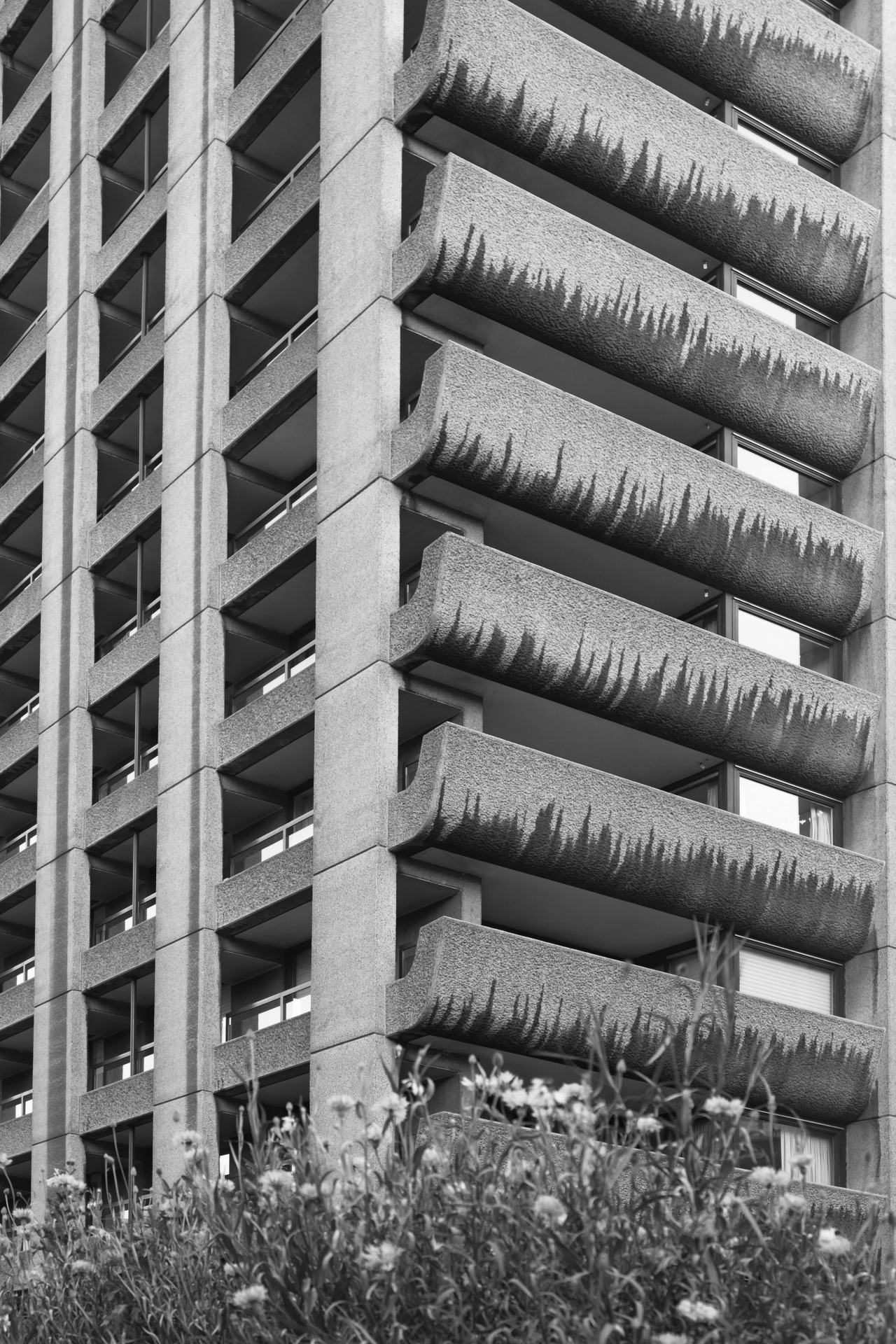 Archillect ID 401282