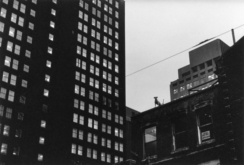 Archillect ID 401312