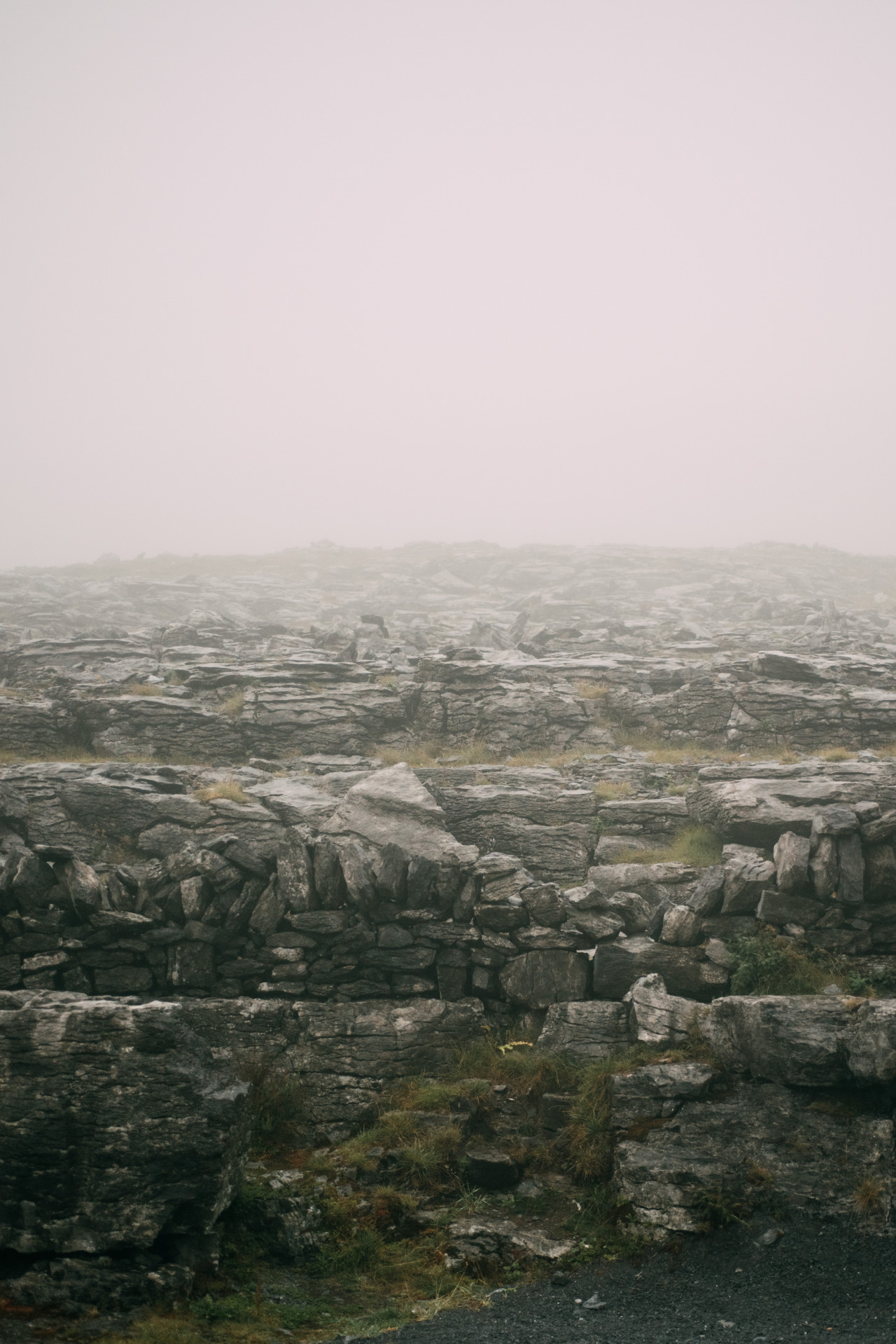 Archillect ID 401322