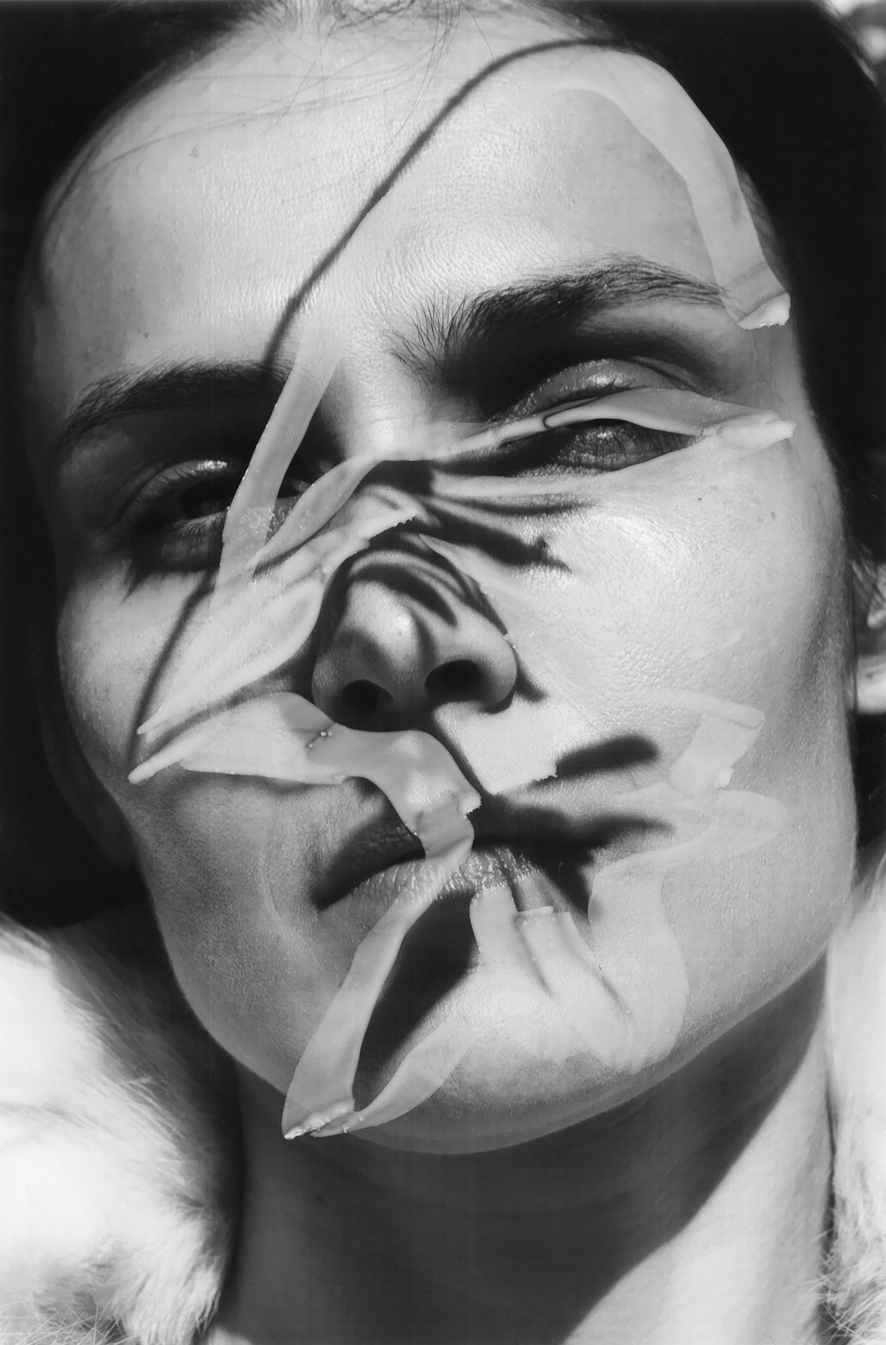 Archillect ID 401348