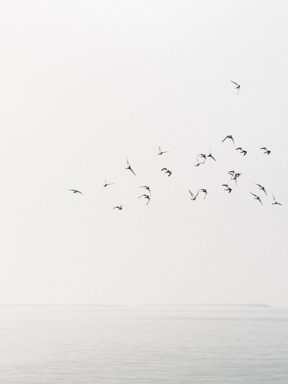 Archillect ID 401364