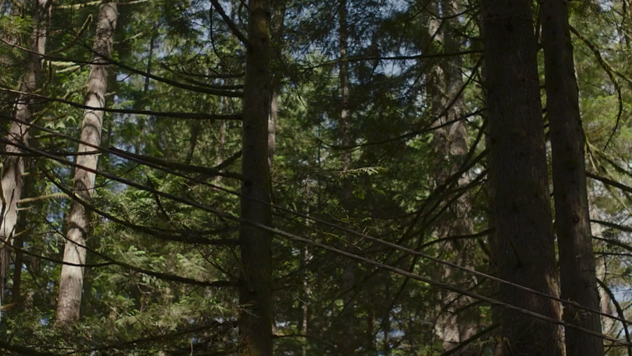 Archillect ID 401365