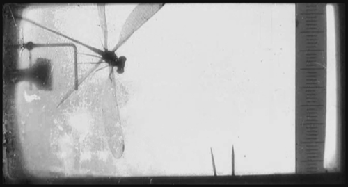 Archillect ID 401370