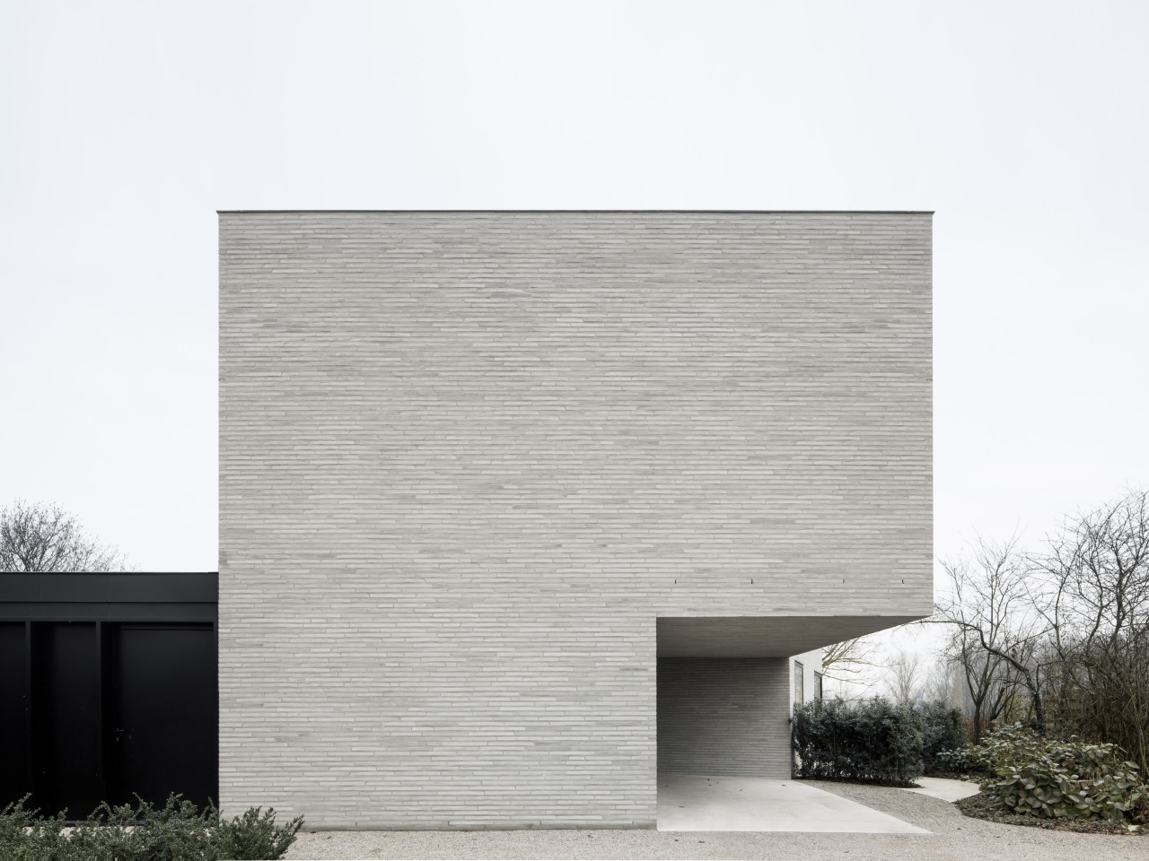 Archillect ID 401371