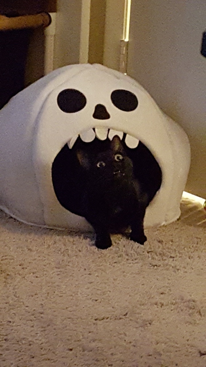 Archillect ID 401464