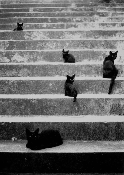 Archillect ID 401469