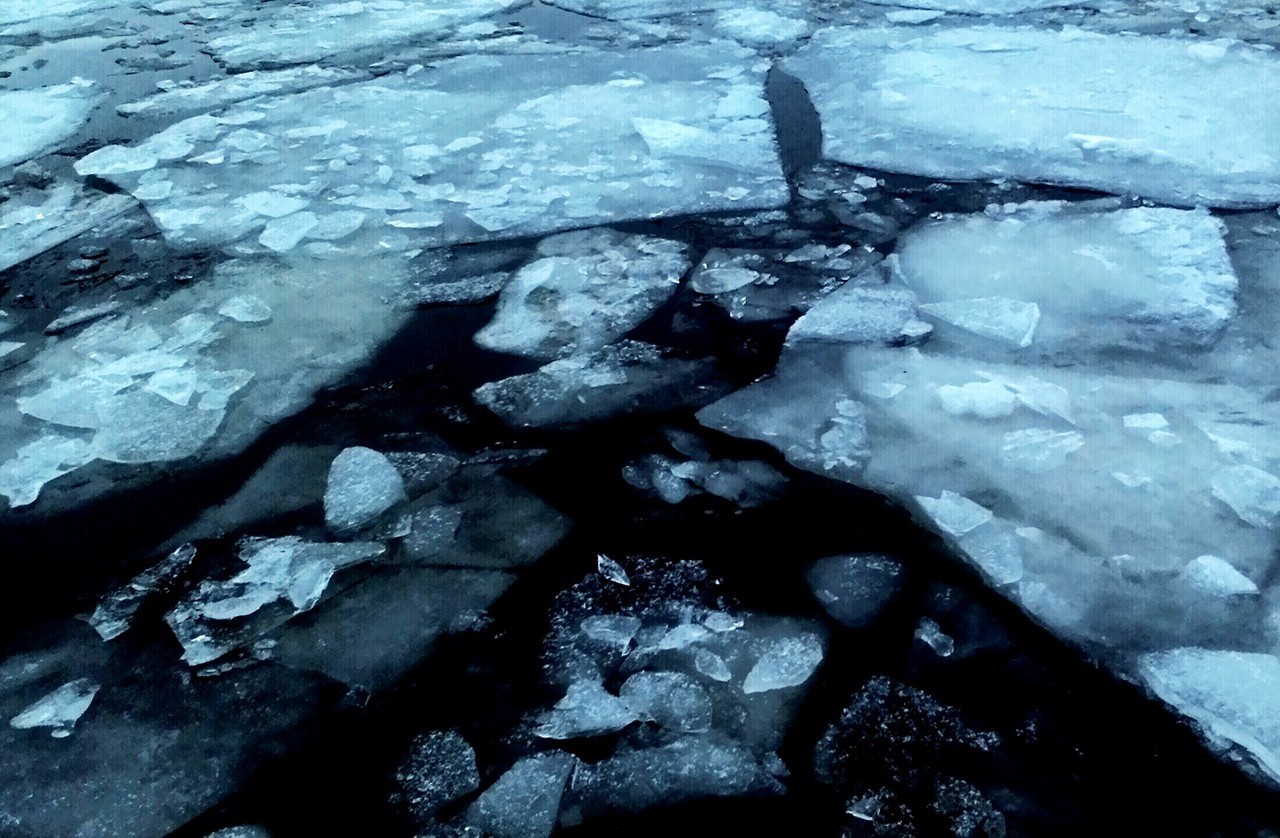 Archillect ID 401534