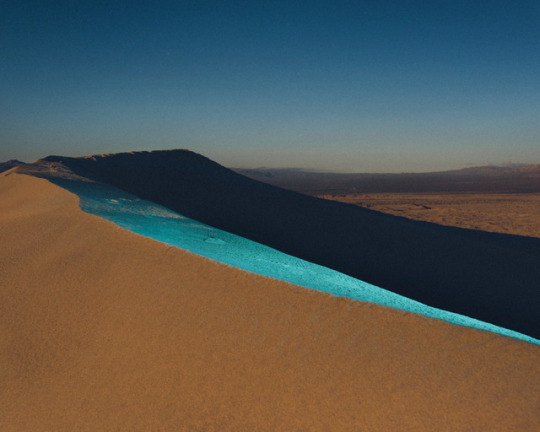 Archillect ID 401600