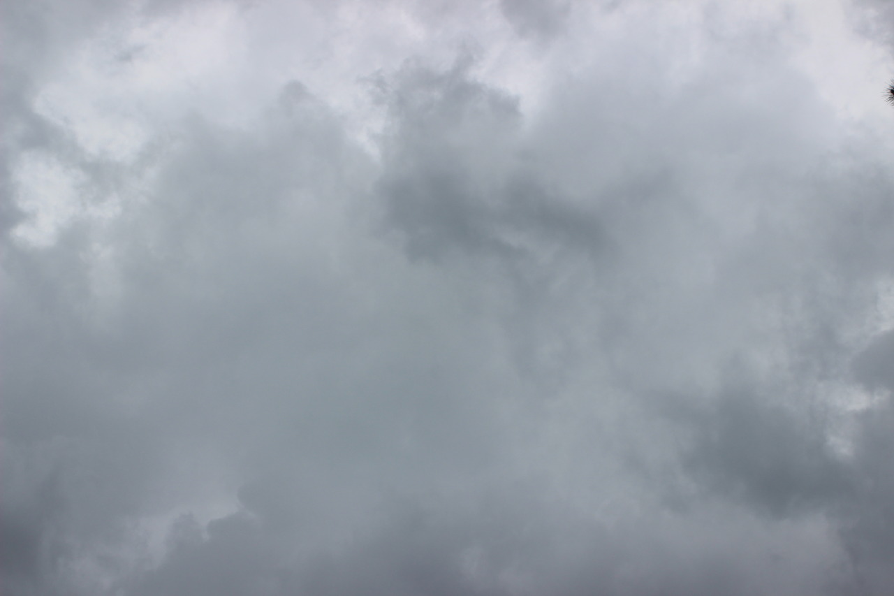 Archillect ID 401616