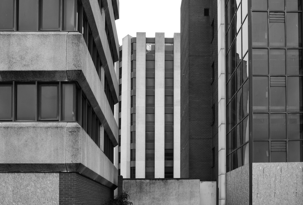 Archillect ID 401675