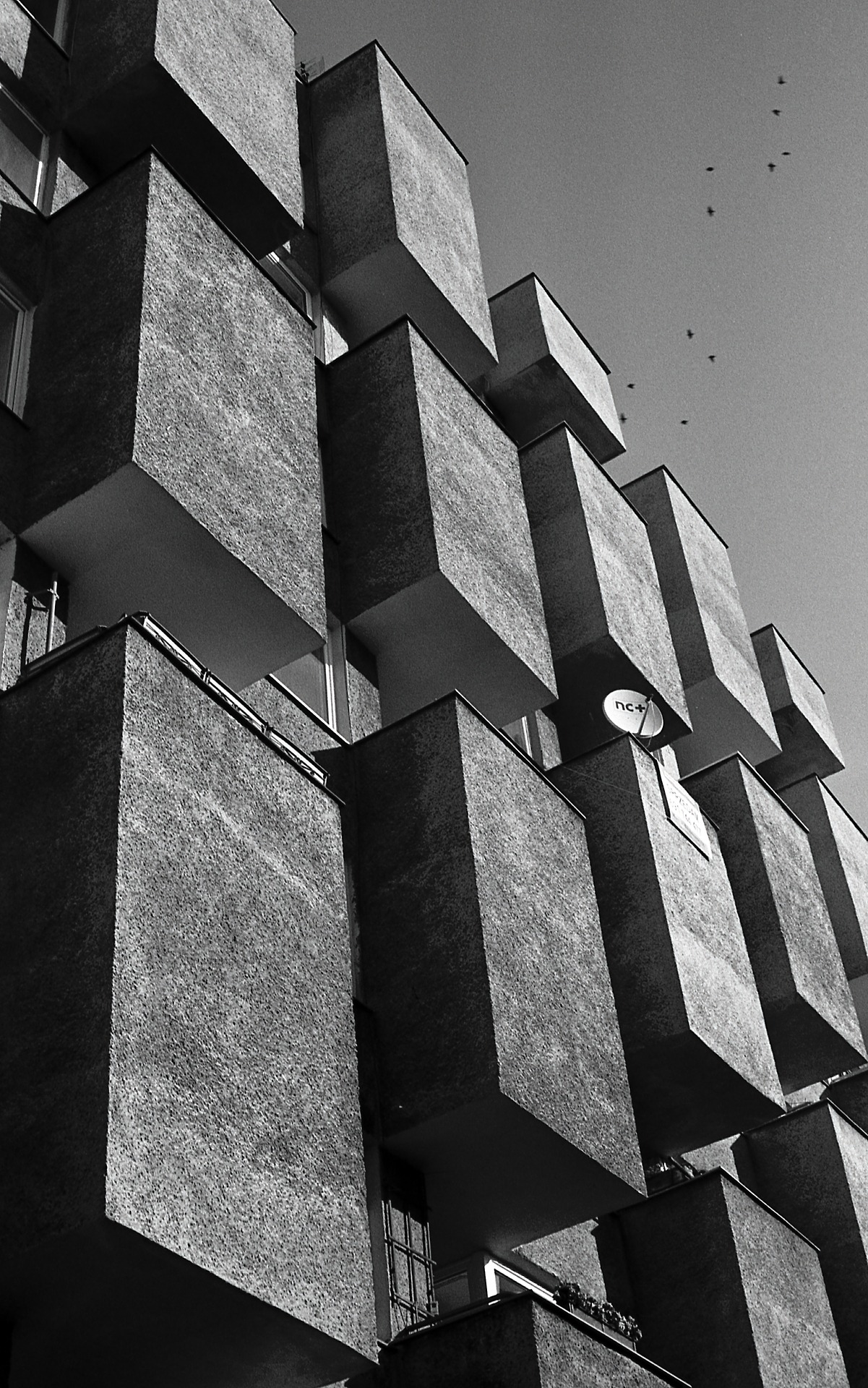 Archillect ID 401684