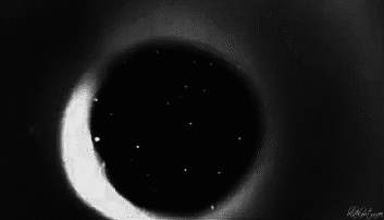 Archillect ID 401695