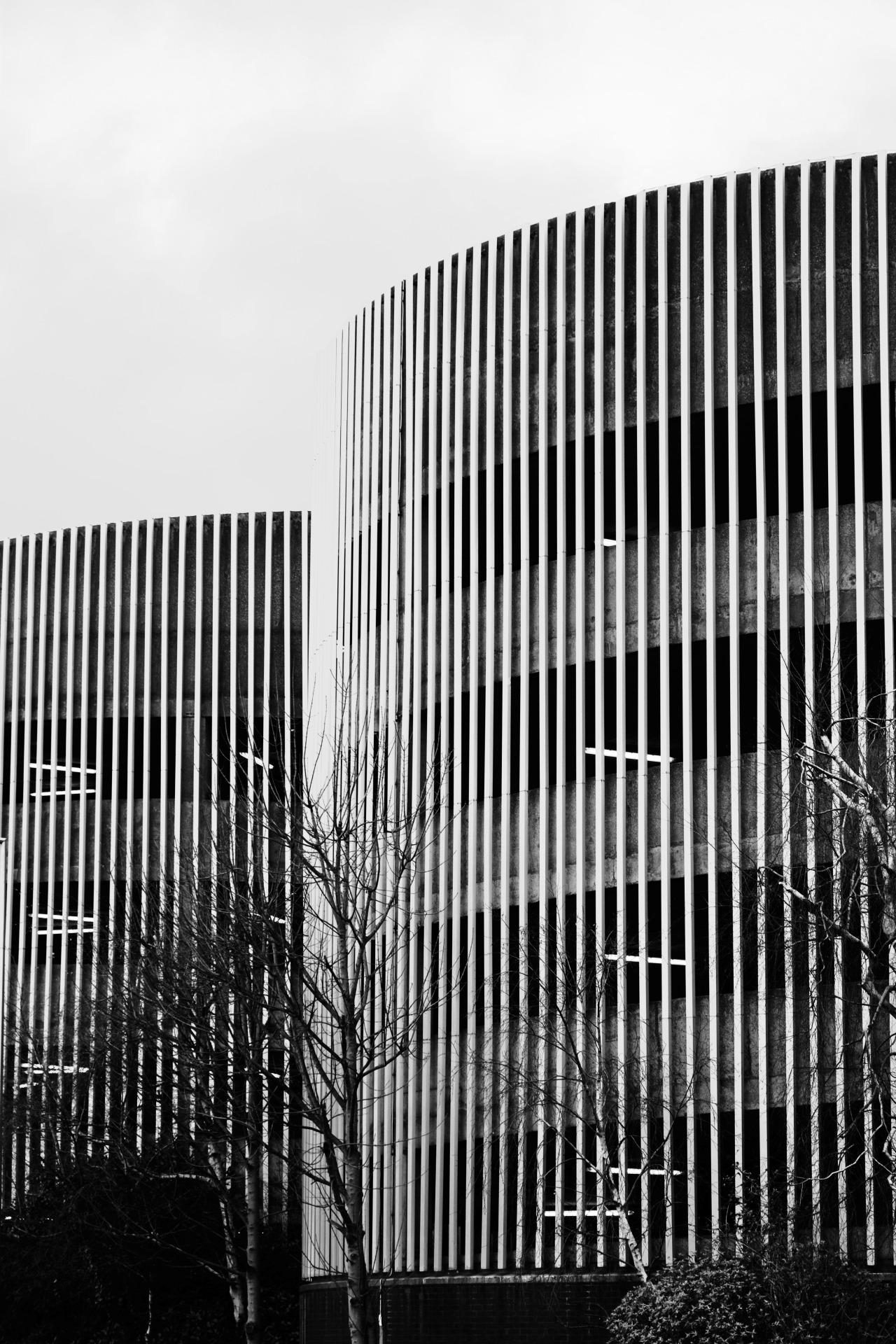 Archillect ID 401699