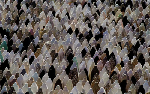 Archillect ID 401769