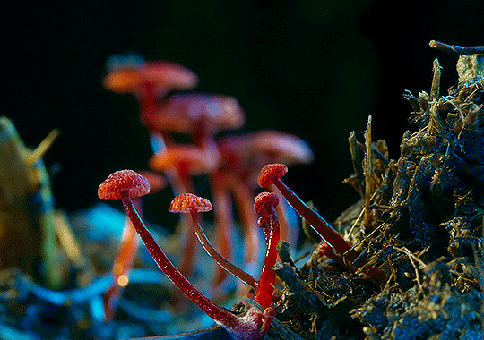 Archillect ID 401789