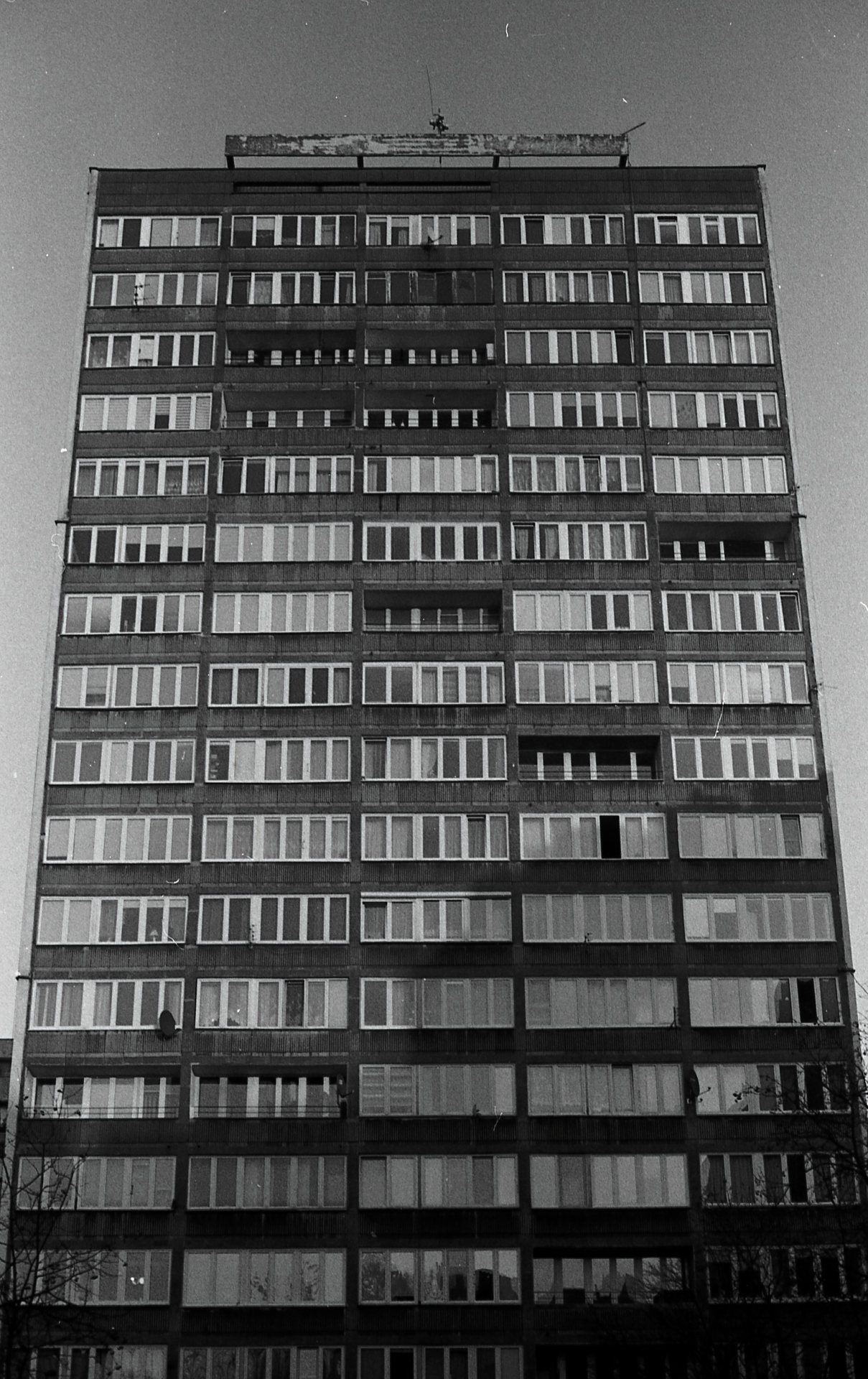 Archillect ID 401806