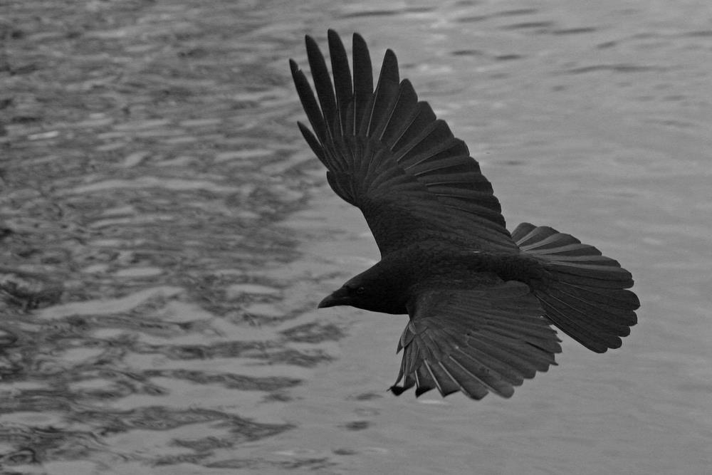 Archillect ID 401839