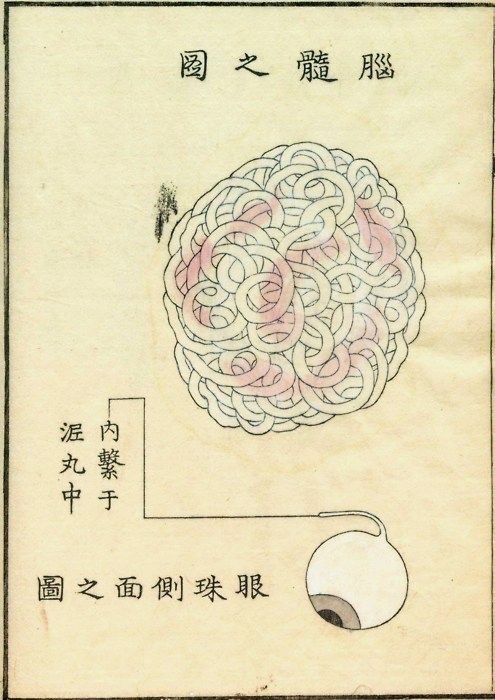 Archillect ID 401847