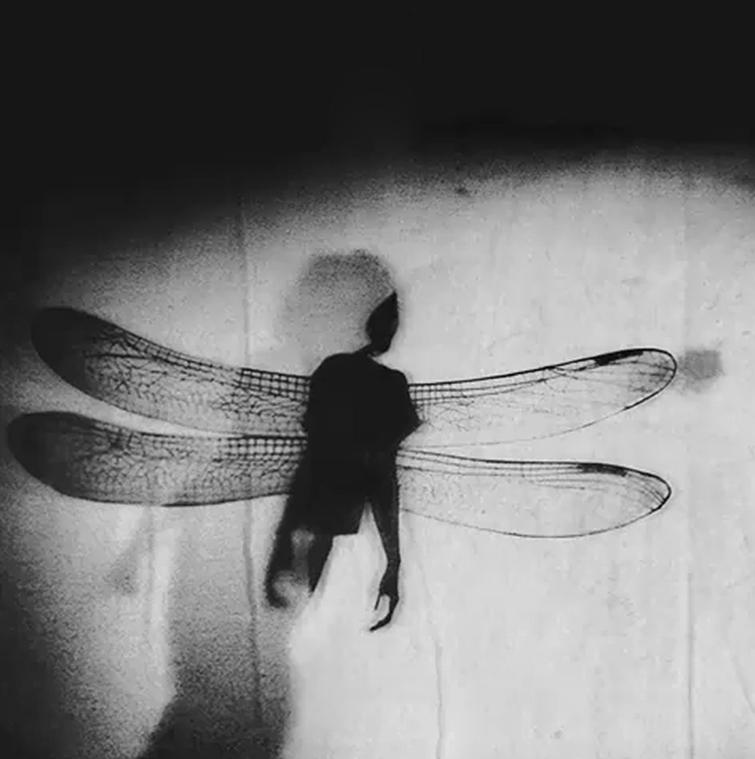 Archillect ID 401867