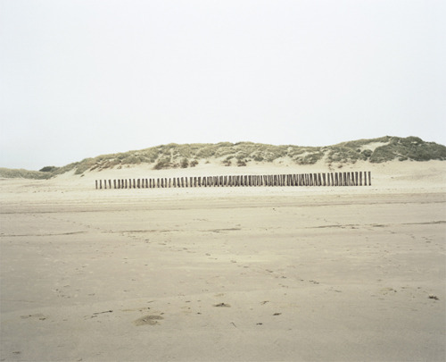 Archillect ID 401896