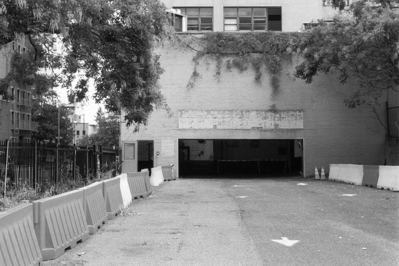 Archillect ID 401901