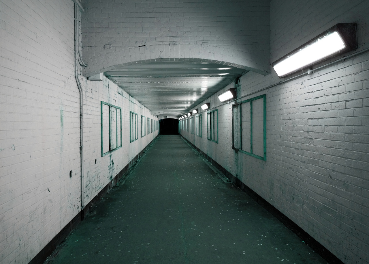 Archillect ID 401930