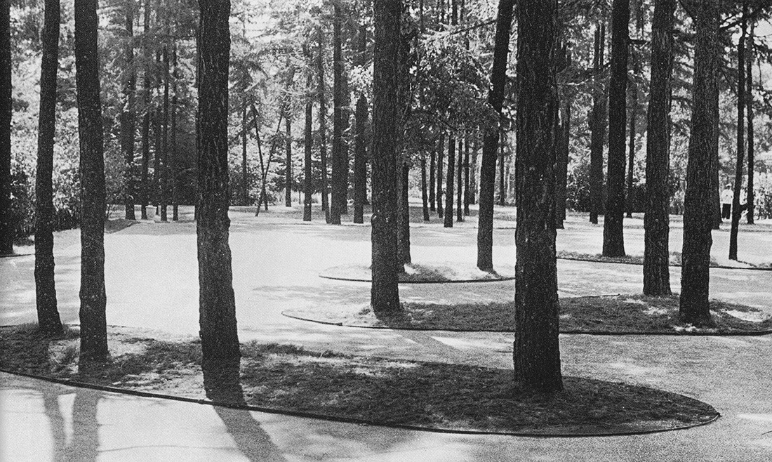 Archillect ID 401998