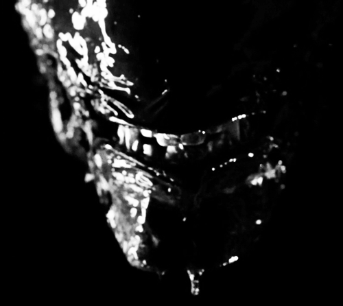 Archillect ID 402015