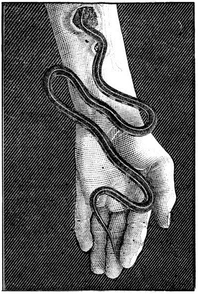 Archillect ID 402088