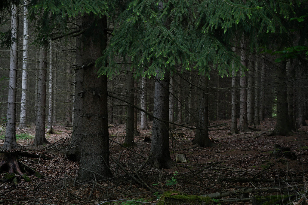 Archillect ID 402152