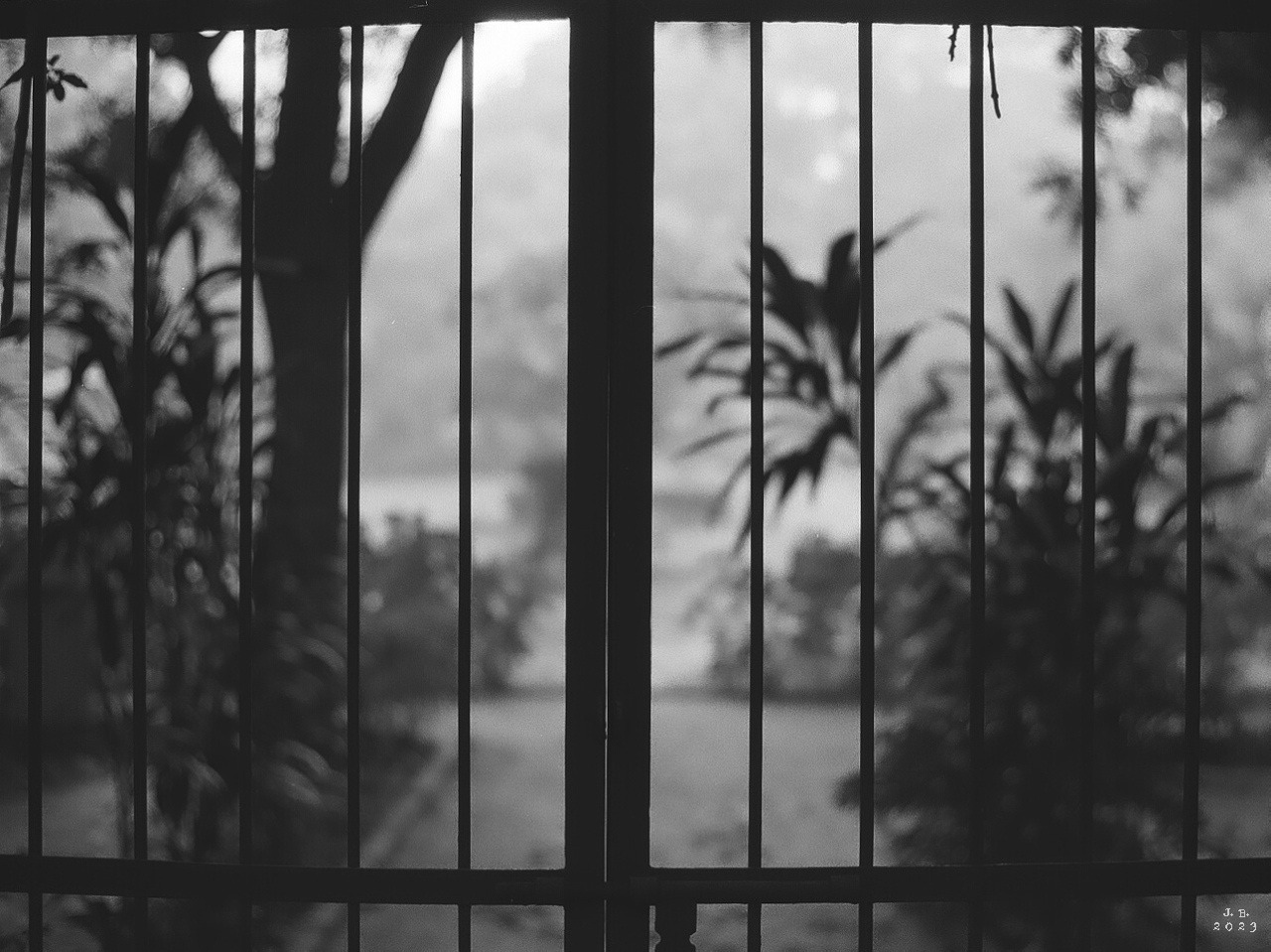 Archillect ID 402165