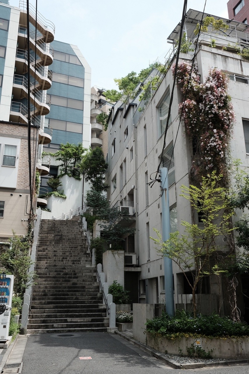 Archillect ID 402169