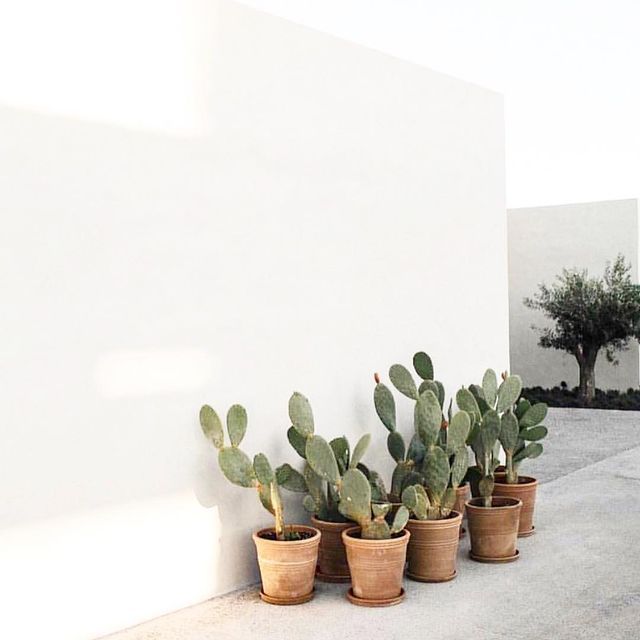 Archillect ID 402195