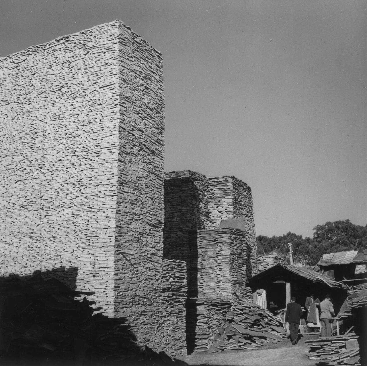 Archillect ID 402265