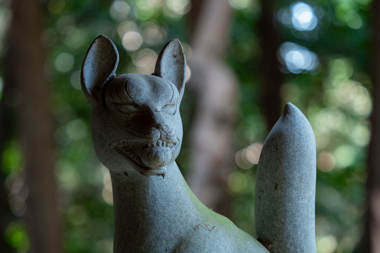 Archillect ID 402281