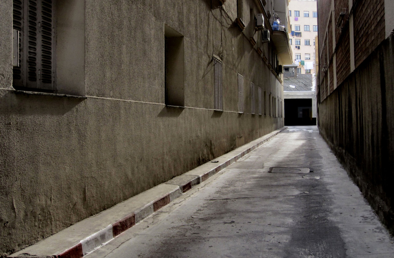 Archillect ID 402299