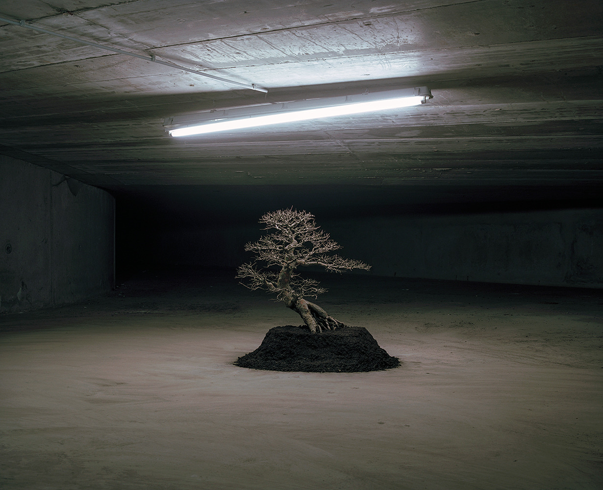 Archillect ID 402344