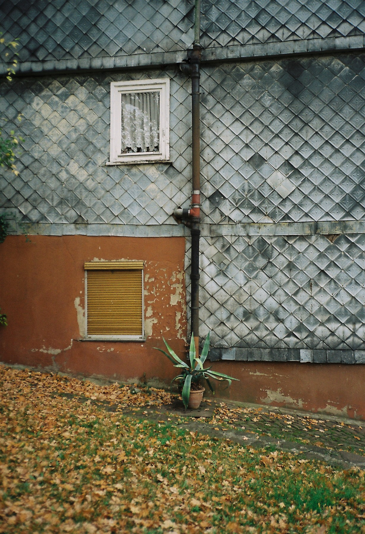 Archillect ID 402349