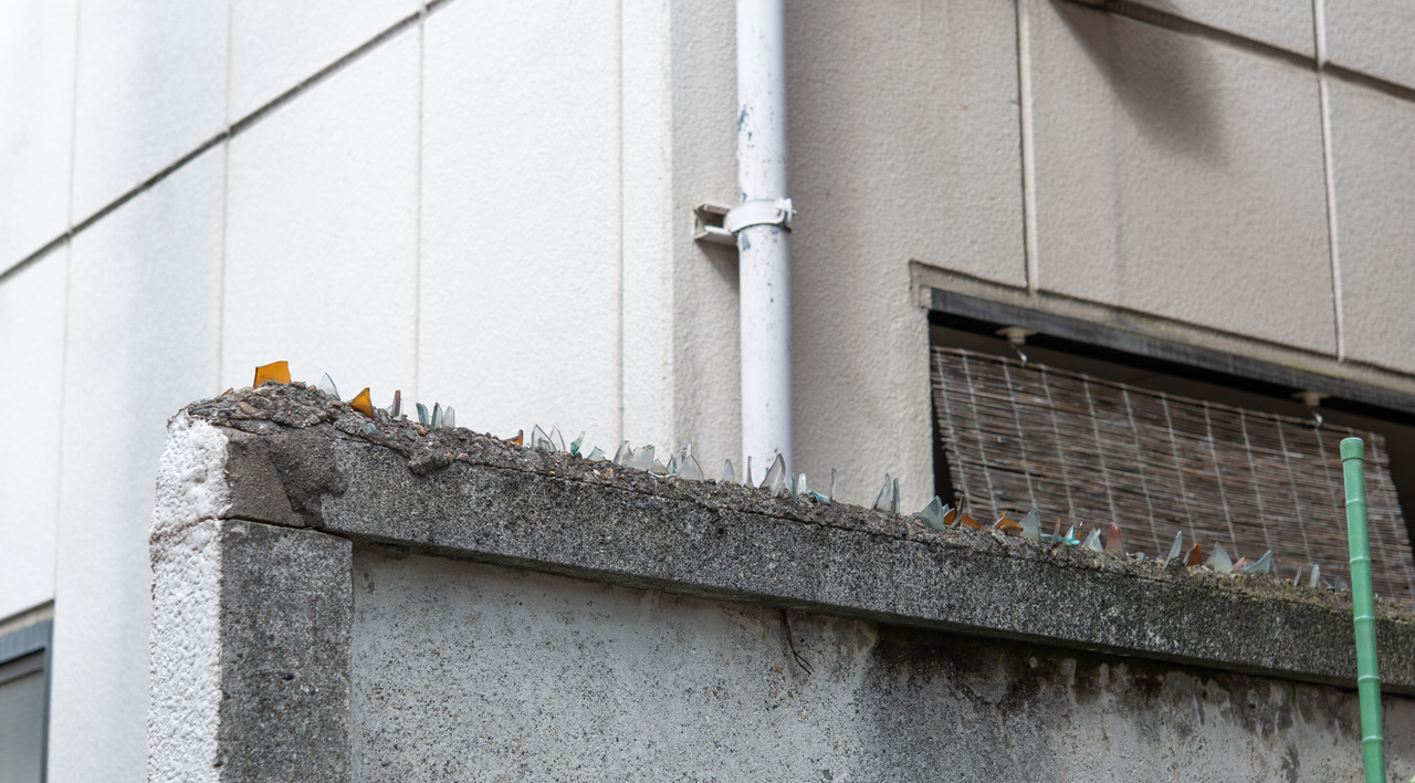 Archillect ID 402373