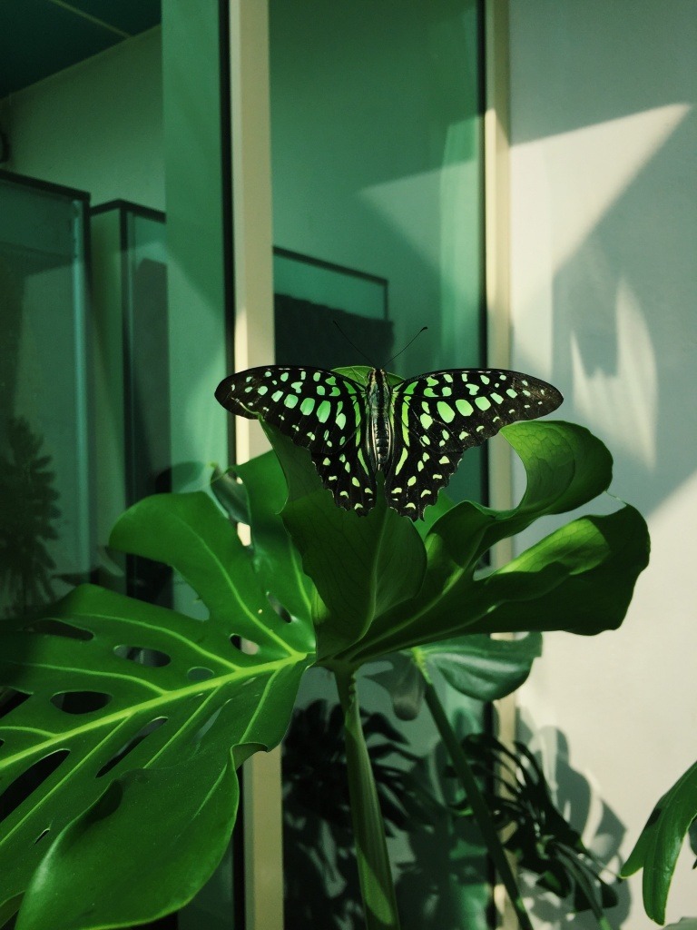 Archillect ID 402454