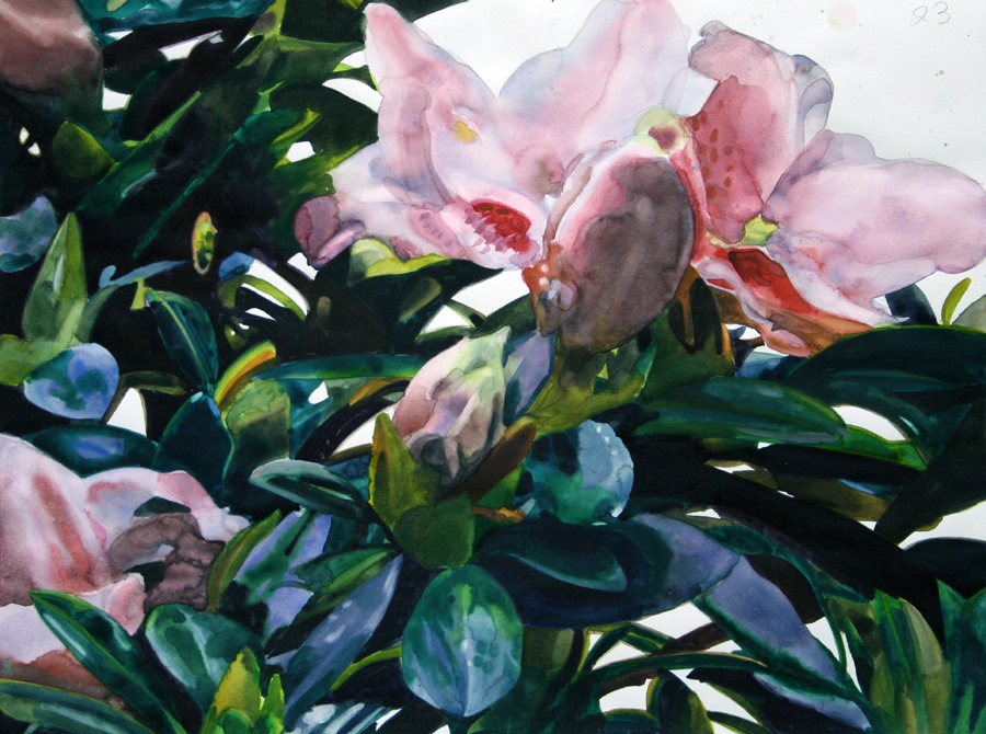 Archillect ID 402462