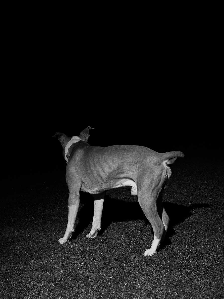 Archillect ID 402519