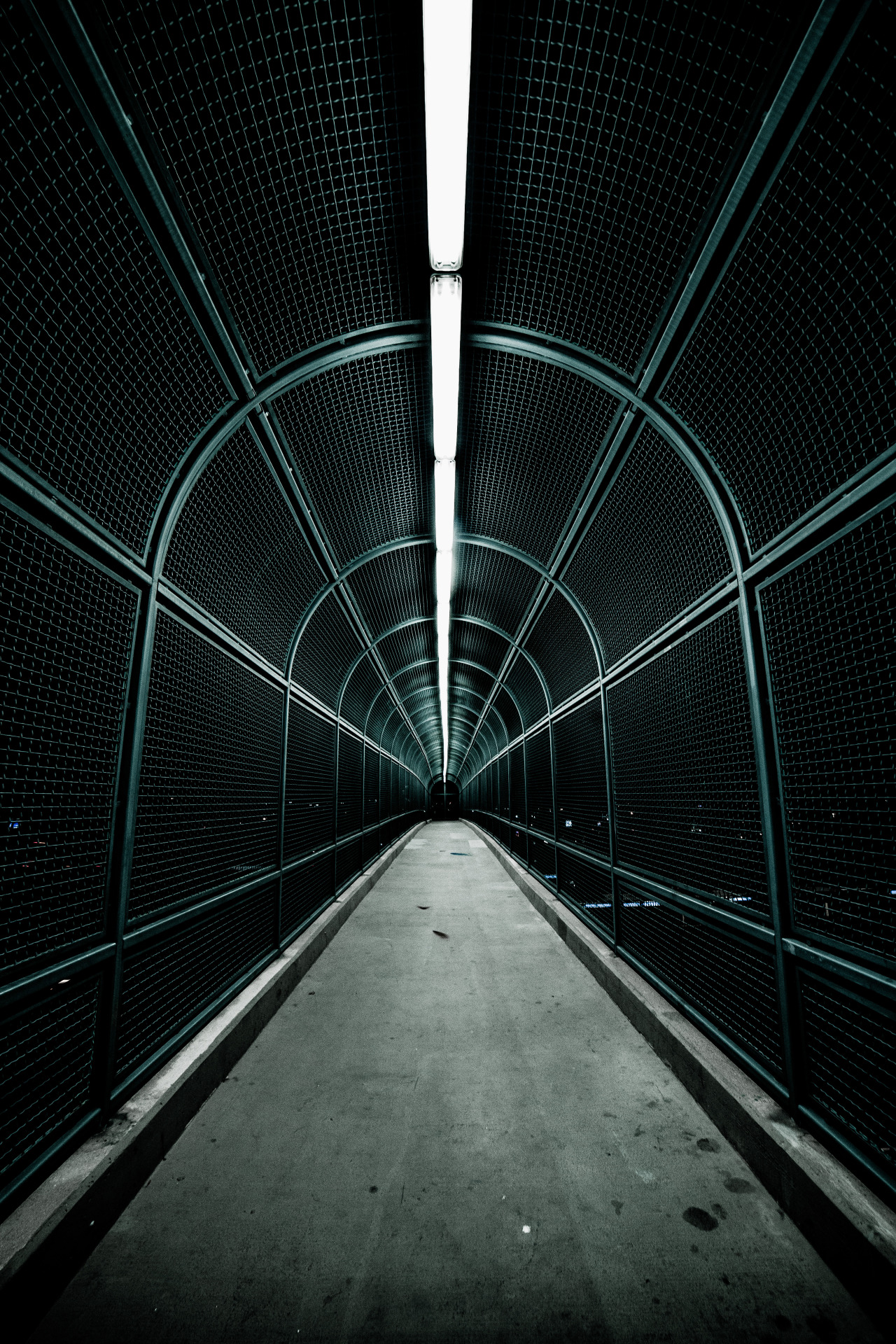 Archillect ID 402541