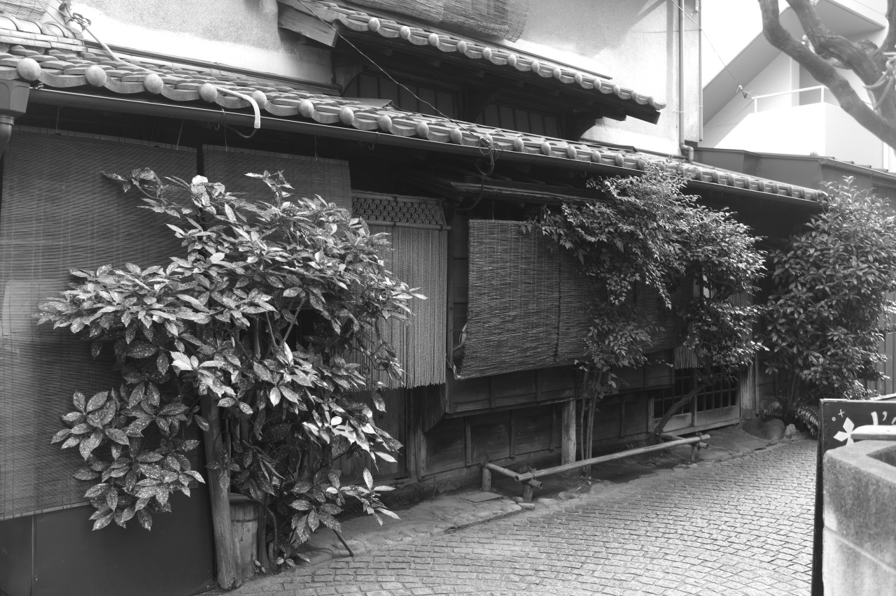 Archillect ID 402542