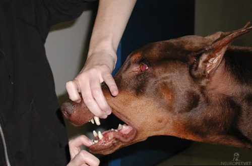 Archillect ID 402546