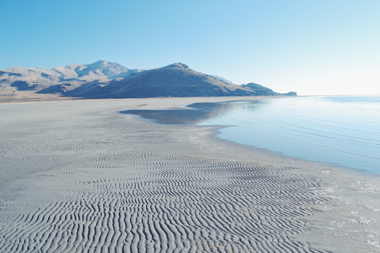 Archillect ID 402575