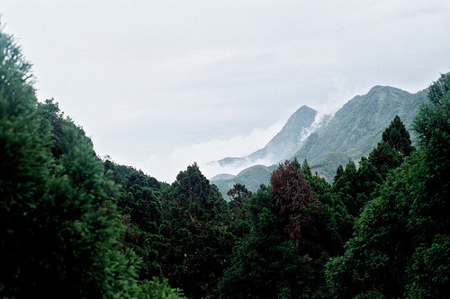 Archillect ID 402590