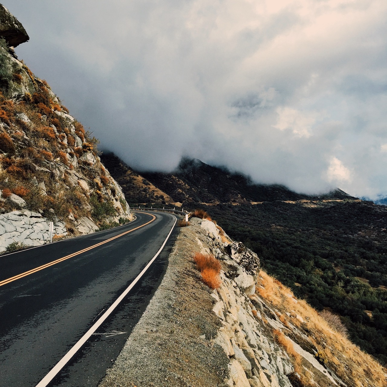 Archillect ID 402591