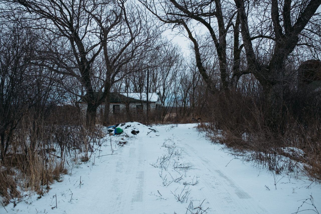 Archillect ID 402611