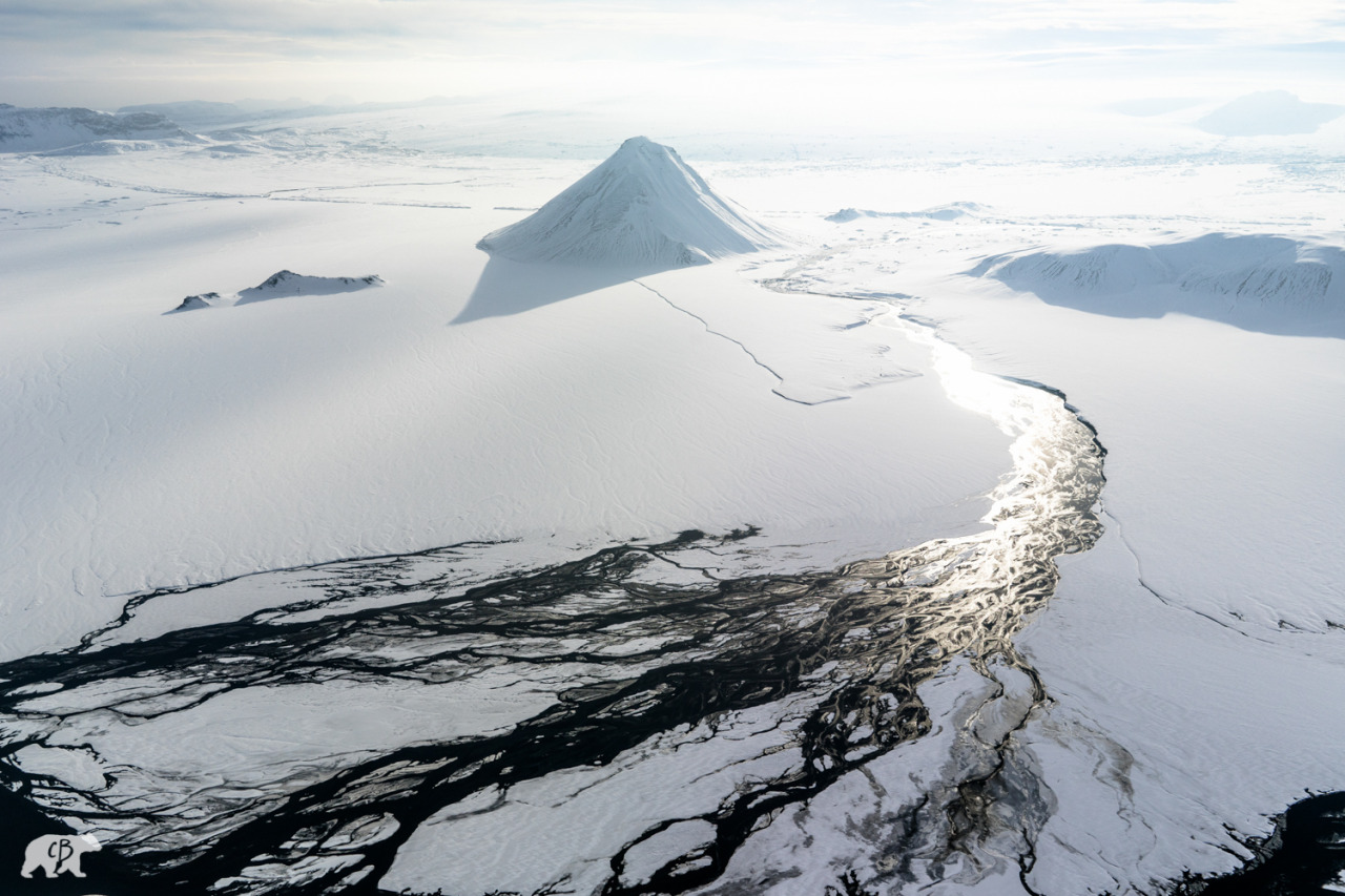 Archillect ID 402624